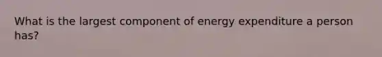 What is the largest component of energy expenditure a person has?