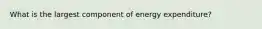 What is the largest component of energy expenditure?