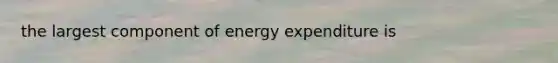 the largest component of energy expenditure is