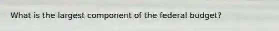 What is the largest component of <a href='https://www.questionai.com/knowledge/kS29NErBPI-the-federal-budget' class='anchor-knowledge'>the federal budget</a>?