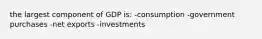 the largest component of GDP is: -consumption -government purchases -net exports -investments