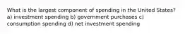 What is the largest component of spending in the United States? a) investment spending b) government purchases c) consumption spending d) net investment spending