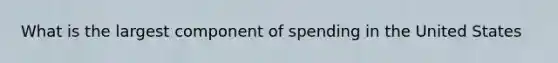 What is the largest component of spending in the United States