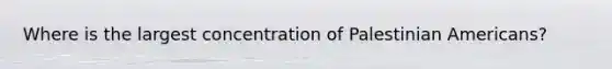 Where is the largest concentration of Palestinian Americans?