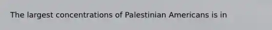 The largest concentrations of Palestinian Americans is in