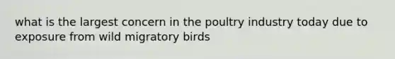 what is the largest concern in the poultry industry today due to exposure from wild migratory birds