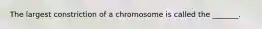 The largest constriction of a chromosome is called the _______.