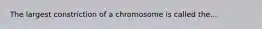 The largest constriction of a chromosome is called the...