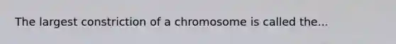 The largest constriction of a chromosome is called the...