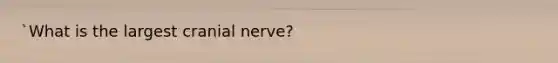 `What is the largest cranial nerve?