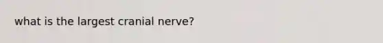 what is the largest cranial nerve?