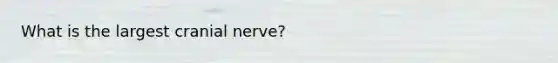 What is the largest cranial nerve?