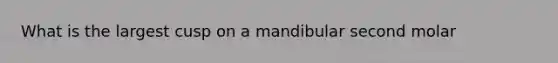 What is the largest cusp on a mandibular second molar