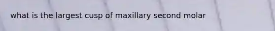 what is the largest cusp of maxillary second molar