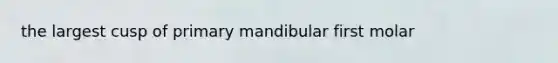 the largest cusp of primary mandibular first molar