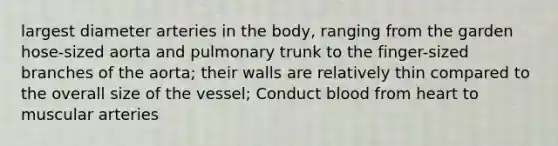 largest diameter arteries in the body, ranging from the garden hose-sized aorta and pulmonary trunk to the finger-sized branches of the aorta; their walls are relatively thin compared to the overall size of the vessel; Conduct blood from heart to muscular arteries