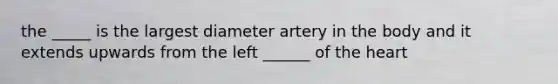 the _____ is the largest diameter artery in the body and it extends upwards from the left ______ of the heart