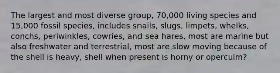 The largest and most diverse group, 70,000 living species and 15,000 fossil species, includes snails, slugs, limpets, whelks, conchs, periwinkles, cowries, and sea hares, most are marine but also freshwater and terrestrial, most are slow moving because of the shell is heavy, shell when present is horny or operculm?