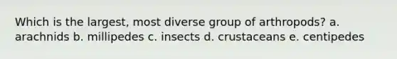 Which is the largest, most diverse group of arthropods? a. arachnids b. millipedes c. insects d. crustaceans e. centipedes