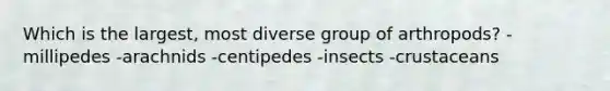 Which is the largest, most diverse group of arthropods? -millipedes -arachnids -centipedes -insects -crustaceans