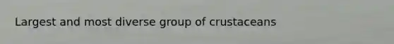 Largest and most diverse group of crustaceans