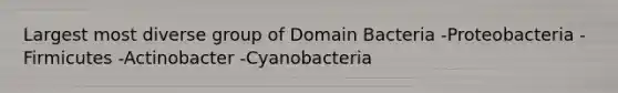 Largest most diverse group of <a href='https://www.questionai.com/knowledge/knPqsjgNUD-domain-bacteria' class='anchor-knowledge'>domain bacteria</a> -Proteobacteria -Firmicutes -Actinobacter -Cyanobacteria