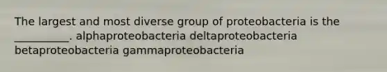 The largest and most diverse group of proteobacteria is the __________. alphaproteobacteria deltaproteobacteria betaproteobacteria gammaproteobacteria