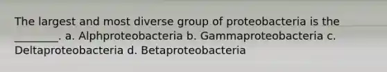 The largest and most diverse group of proteobacteria is the ________. a. Alphproteobacteria b. Gammaproteobacteria c. Deltaproteobacteria d. Betaproteobacteria