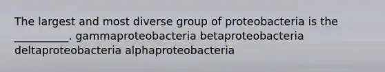 The largest and most diverse group of proteobacteria is the __________. gammaproteobacteria betaproteobacteria deltaproteobacteria alphaproteobacteria