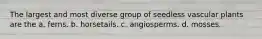 The largest and most diverse group of seedless vascular plants are the a. ferns. b. horsetails. c. angiosperms. d. mosses.