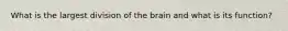 What is the largest division of the brain and what is its function?