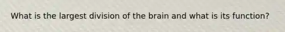What is the largest division of the brain and what is its function?
