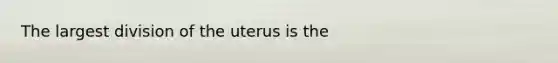 The largest division of the uterus is the