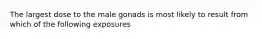 The largest dose to the male gonads is most likely to result from which of the following exposures