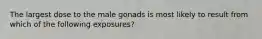 The largest dose to the male gonads is most likely to result from which of the following exposures?