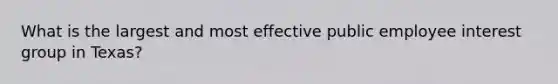 What is the largest and most effective public employee interest group in Texas?