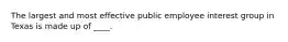 The largest and most effective public employee interest group in Texas is made up of ____.