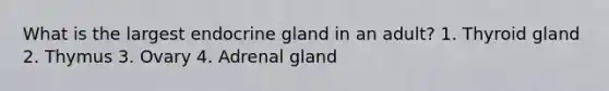 What is the largest endocrine gland in an adult? 1. Thyroid gland 2. Thymus 3. Ovary 4. Adrenal gland