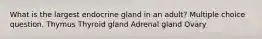 What is the largest endocrine gland in an adult? Multiple choice question. Thymus Thyroid gland Adrenal gland Ovary