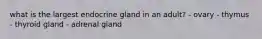 what is the largest endocrine gland in an adult? - ovary - thymus - thyroid gland - adrenal gland