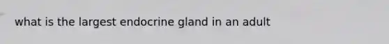 what is the largest endocrine gland in an adult