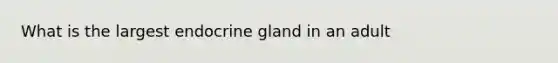 What is the largest endocrine gland in an adult