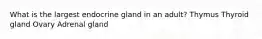 What is the largest endocrine gland in an adult? Thymus Thyroid gland Ovary Adrenal gland