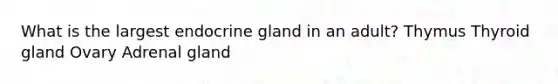 What is the largest endocrine gland in an adult? Thymus Thyroid gland Ovary Adrenal gland