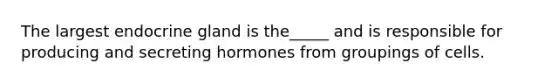 The largest endocrine gland is the_____ and is responsible for producing and secreting hormones from groupings of cells.