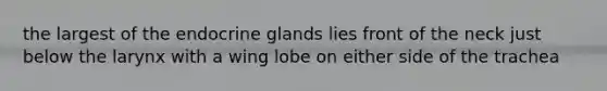 the largest of the endocrine glands lies front of the neck just below the larynx with a wing lobe on either side of the trachea