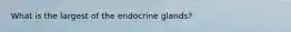 What is the largest of the endocrine glands?