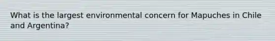 What is the largest environmental concern for Mapuches in Chile and Argentina?