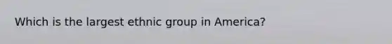 Which is the largest ethnic group in America?