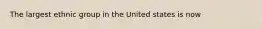 The largest ethnic group in the United states is now